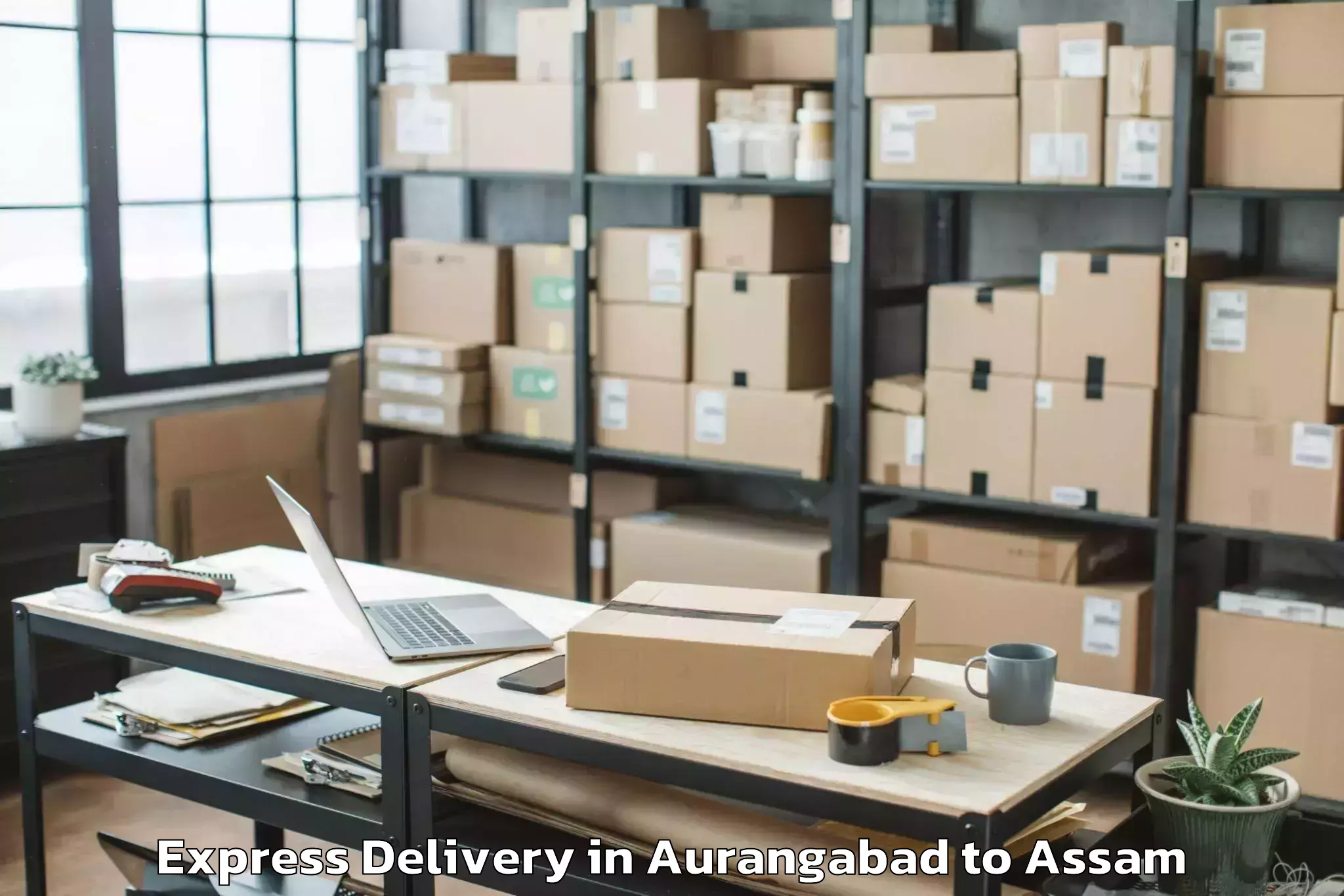 Top Aurangabad to Teok Express Delivery Available